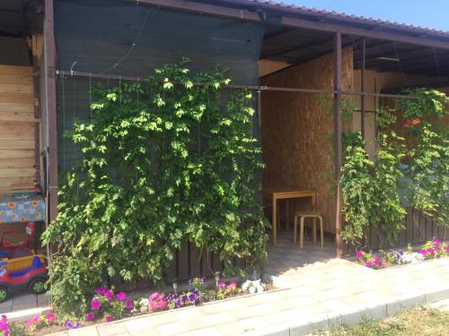 Фотография гостевого дома Семейный