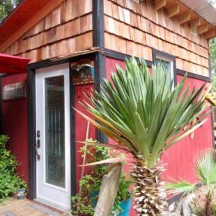 Фотографии мини отеля
Magnolia Petal