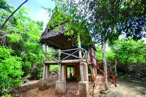 Фотография хостела Stilts Backpackers