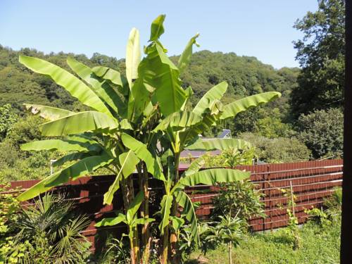 Фотографии гостевого дома
Летняя Дача