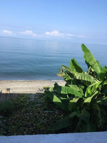 Фотография гостевого дома Chakvi