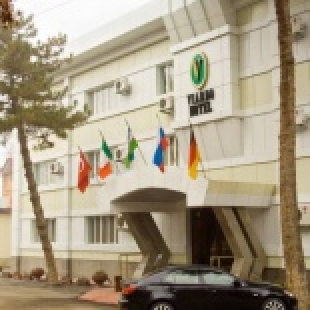 Фотография гостиницы Viardo