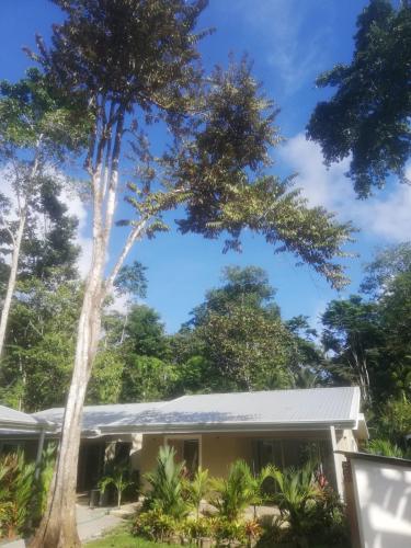 Фотография апарт отеля Alloro Jungle Villas