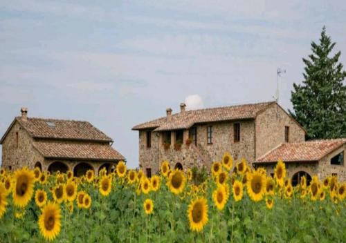 Фотография базы отдыха Casetta della Pina