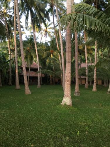 Фотография мини отеля IDA'S Homestay