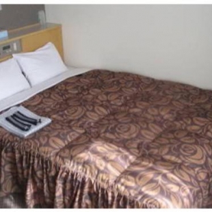 Фотография гостиницы Akashi Castle Hotel - Vacation STAY 83574