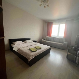 Фотография квартиры Апартаменты на Склизкова 116