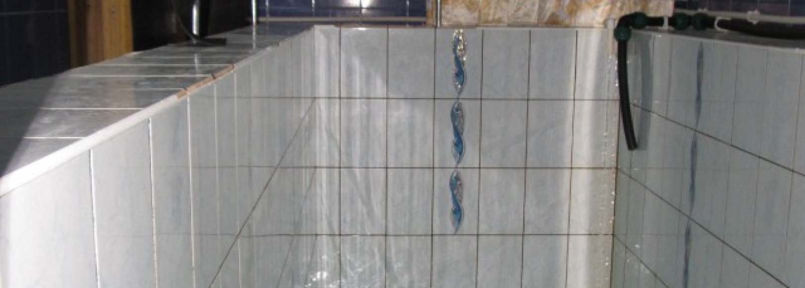 Фотография сауны Ромашка