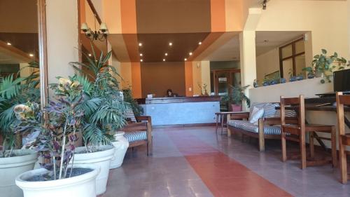 Фотография гостиницы Hotel Viola