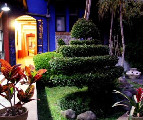 Фотография гостиницы Hotel Boutique Casabella