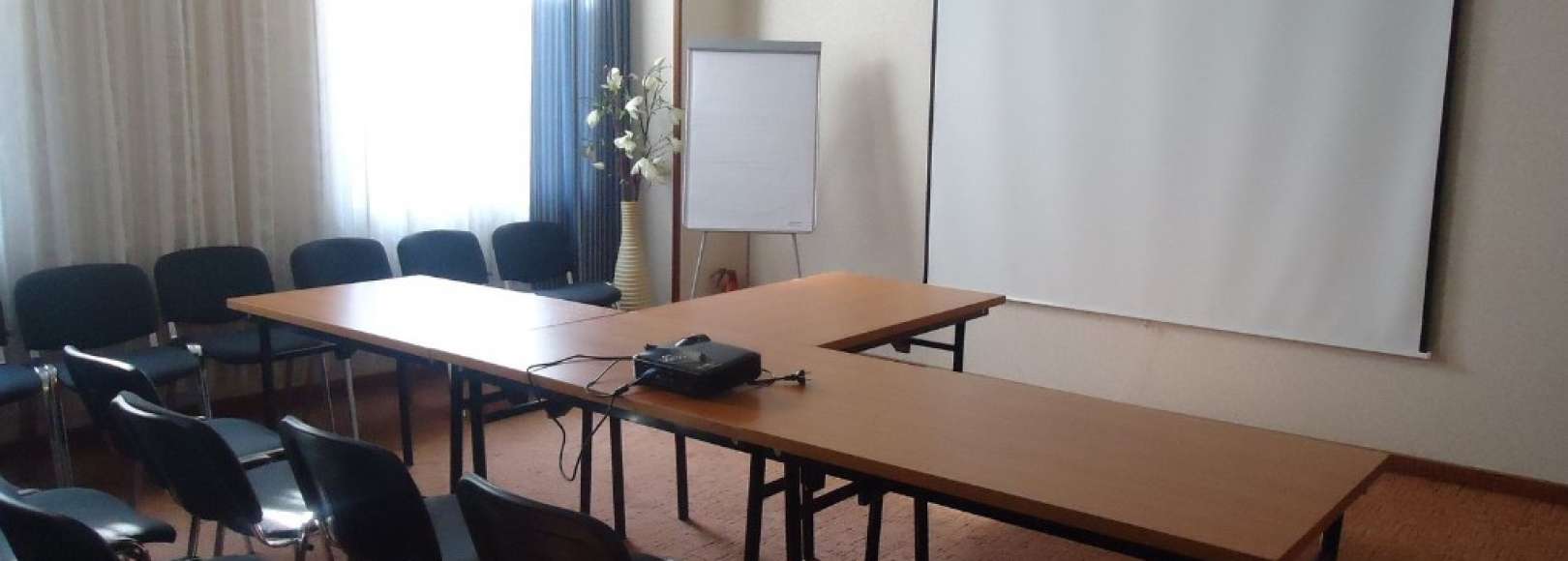 Фотография конференц-зала Стойлянка