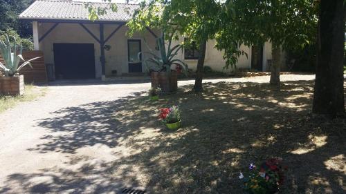 Фотография мини отеля La maison du Bonheur