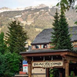 Фотографии гостиницы
Blackcomb Lodge