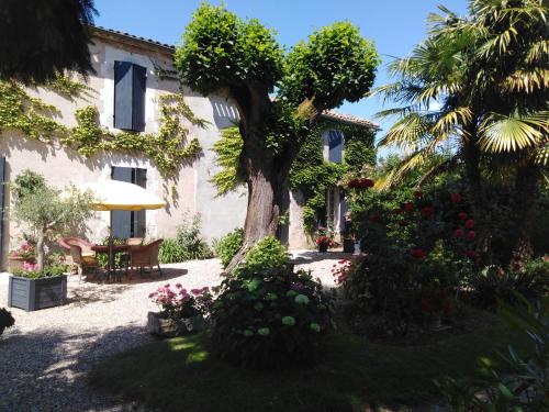 Фотография мини отеля Les Hortensias - Chambres d'hôtes