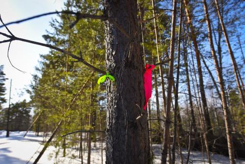 Фотографии базы отдыха
Золотой Арбалет тур клуб