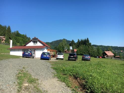 Фотография гостевого дома Cabana Busuioc