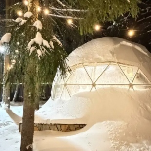 Фотография Коттеджа Частный дом Купольный дом в сосновом лесу