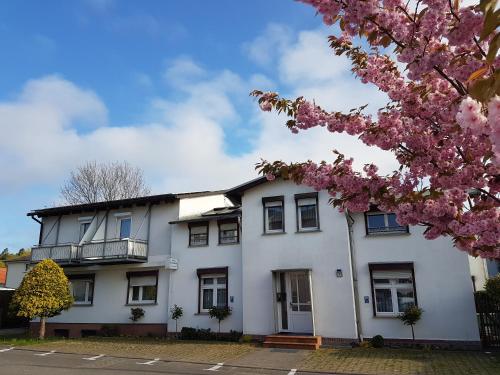 Фотография гостевого дома Siggis Pension - Apartments