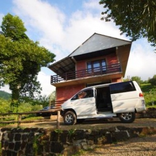 Фотография гостиницы Oasis GASAMANIA