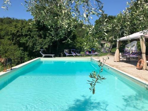 Фотография мини отеля B&B Podere Badia