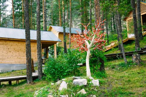 Фотография мини отеля Синегорье