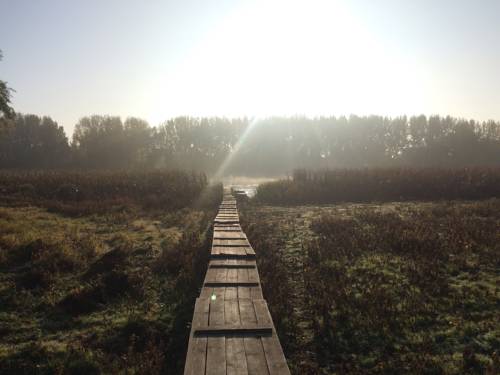 Фотографии базы отдыха
Никарагоа