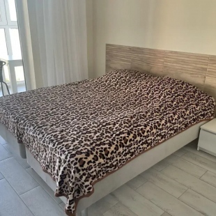 Фотография квартиры Квартира на Римской улице