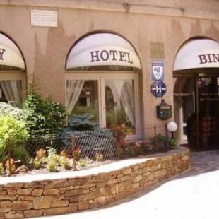 Фотографии гостиницы 
            Hotel Biney
