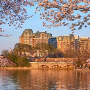 Фотографии гостиницы 
            Mandarin Oriental Washington DC