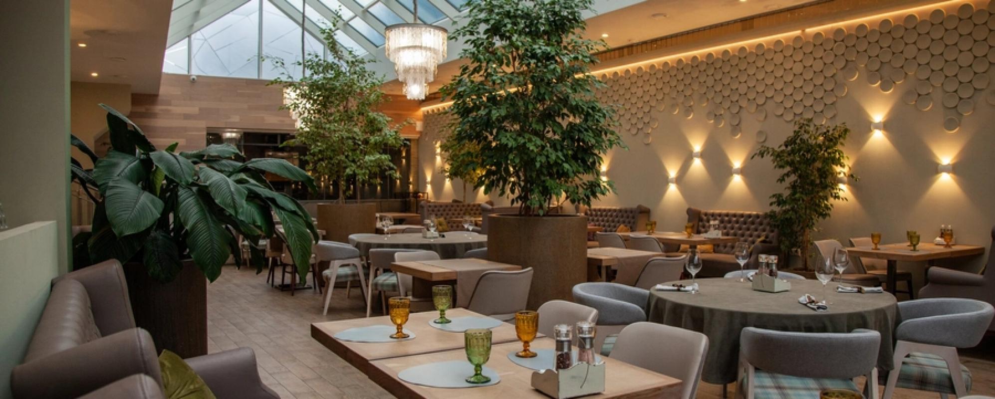 Фотографии банкетного зала Грейс Эль Параисо на 40 персон