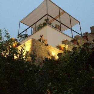 Фотографии гостиницы
The Orchid Hotel - Old Town & Drum Tower