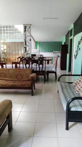 Фотография мини отеля Blue Morpho House B&B