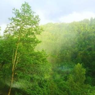 Фотографии мини отеля 
            Skymist Maison d'hôtes