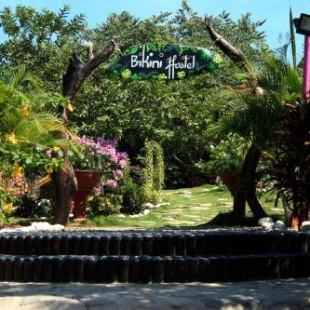 Фотография хостела Bikini Hostel & Pool