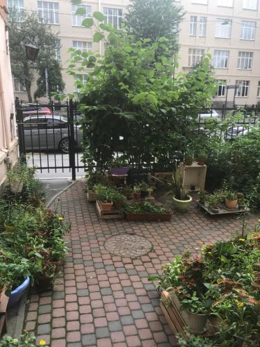 Фотографии гостиницы
Белый Бегемот