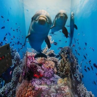 Фотография хостела OYO Ryokan Sparkling Dolphins Inn Kyoto