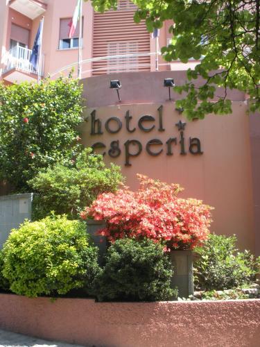 Фотография гостиницы Hotel Esperia