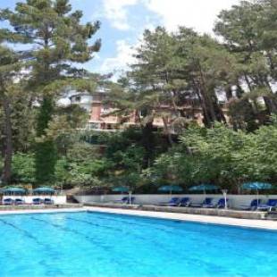 Фотография гостиницы Forest Park Hotel