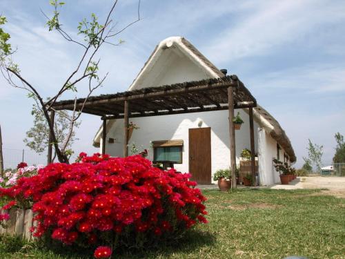 Фотографии гостевого дома
Barraca Gran