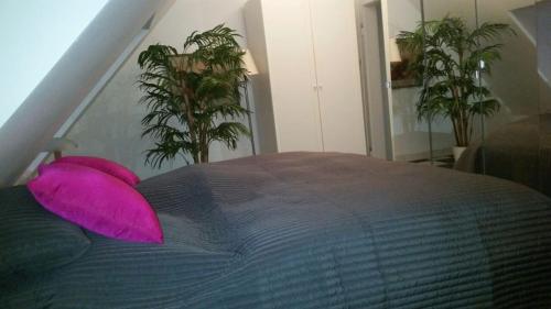 Фотография квартиры Apartment Ddorf-Nord