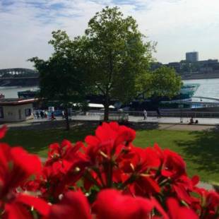 Фотографии гостиницы
Hayk Altstadthotel & Appartements