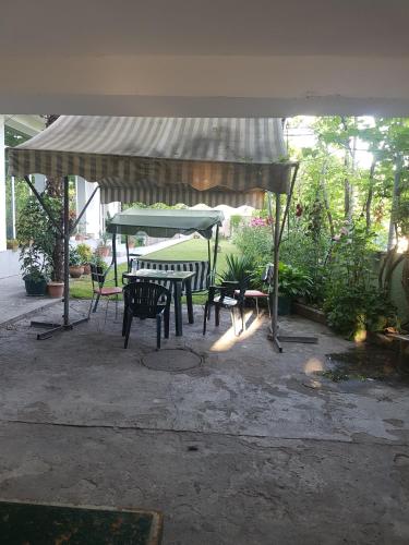 Фотография хостела guesthous davidl