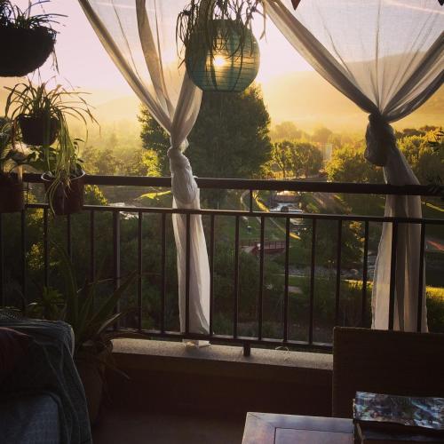 Фотография мини отеля Casa Catharina