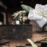 Фотография гостиницы Euroway Hotel