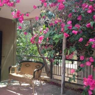 Фотографии гостевого дома
Kokos Traditional Family House