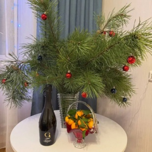 Фотография квартиры Квартира в Столице Закатов