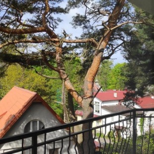 Фотография квартиры Апартаменты Amber West