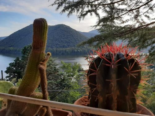 Фотография гостевого дома Villa bianca