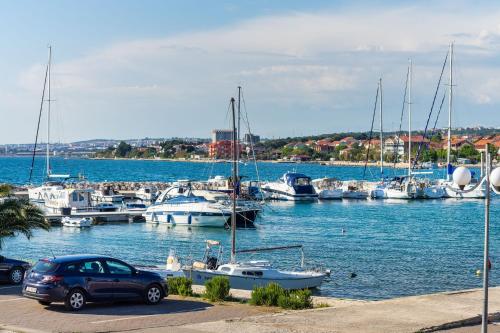 Фотография гостевого дома Palm Bibinje