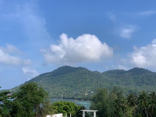 Фотография гостиницы Koh Tao Heritage